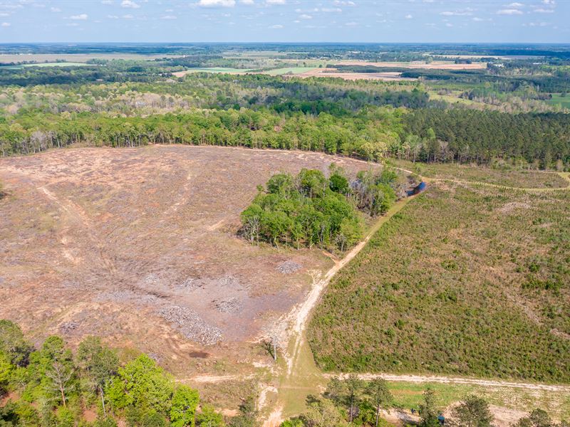 Beautiful Farm Tract with Creek : Elko : Houston County : Georgia