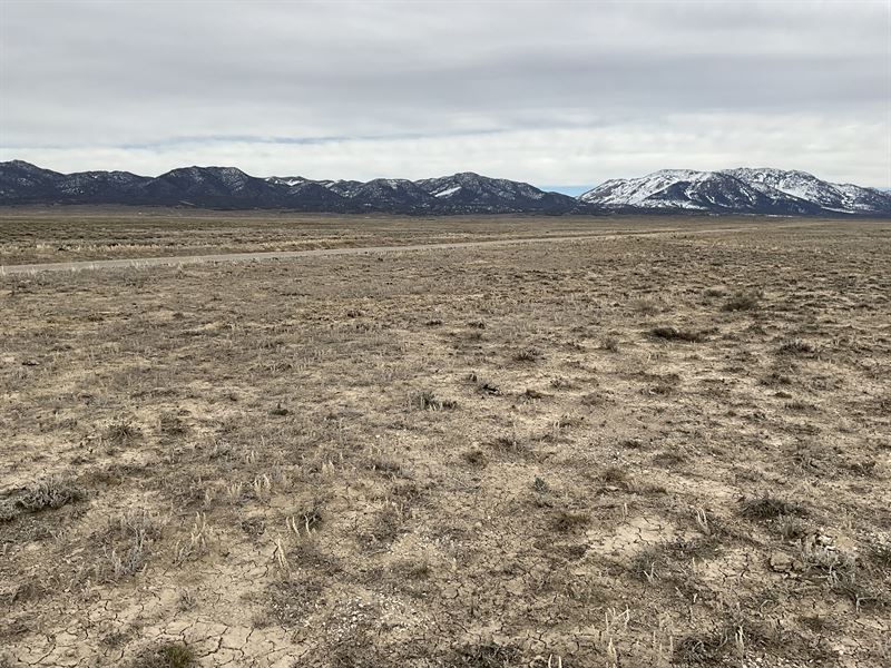 Bordering Blm Land, 10 Acres, Farm for Sale by Owner in Nevada, 344785