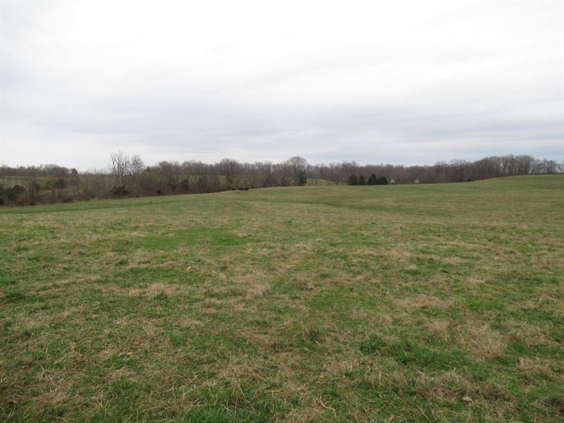 Cattle Farm for Sale in Kentucky, Farm for Sale in Kentucky, 344820