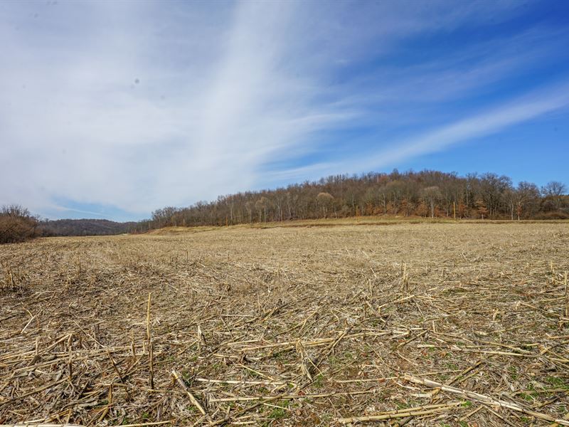 Adamsville Otsego Rd Lot 5 : Adamsville : Muskingum County : Ohio