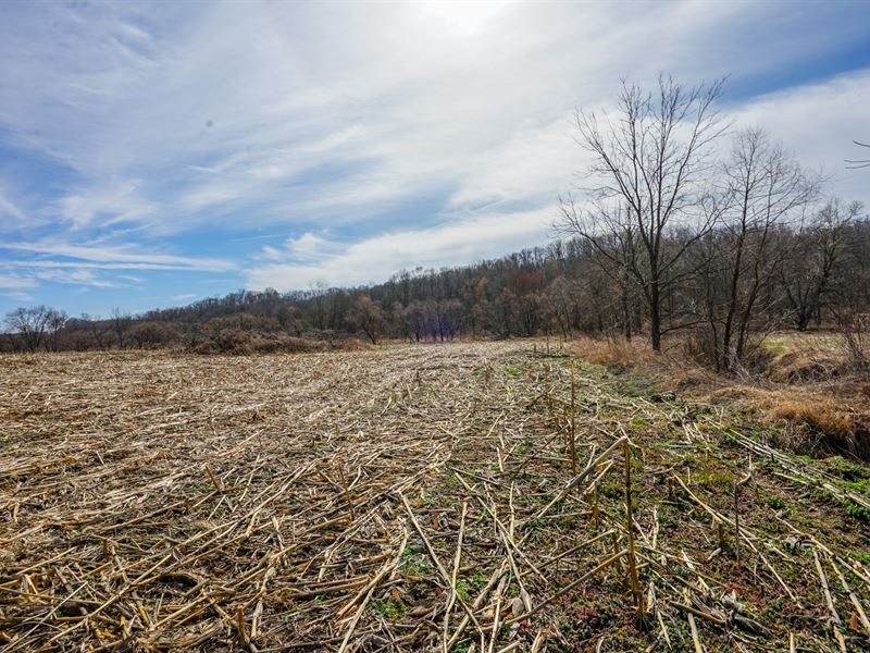 Adamsville Otsego Rd Lot 4 : Adamsville : Muskingum County : Ohio