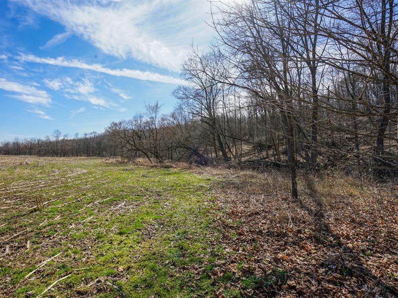 Adamsville Otsego Rd Lot 2 : Adamsville : Muskingum County : Ohio