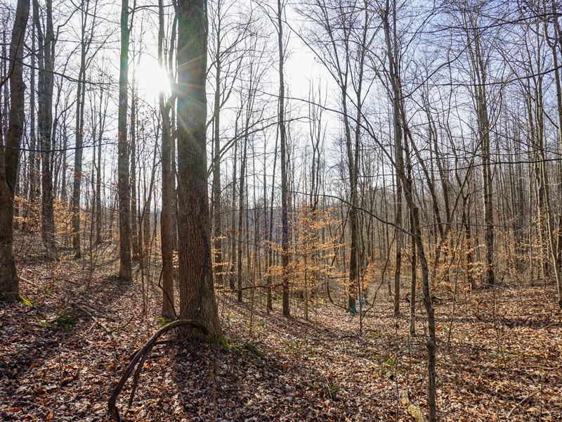 Wilbur Bush Rd Lot 4 : Crooksville : Morgan County : Ohio
