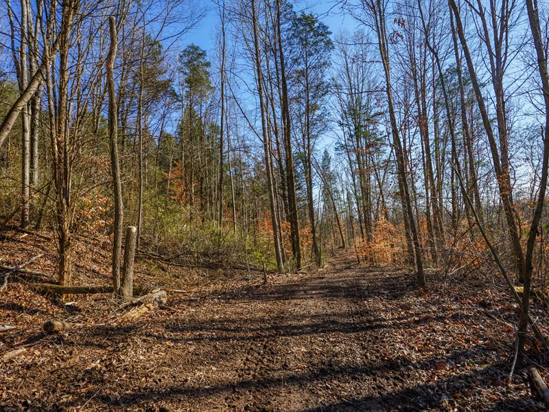 New Road, 47.3 Acres : Beverly : Morgan County : Ohio