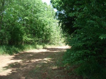 196+/- Acres : Cheneyville : Rapides Parish : Louisiana