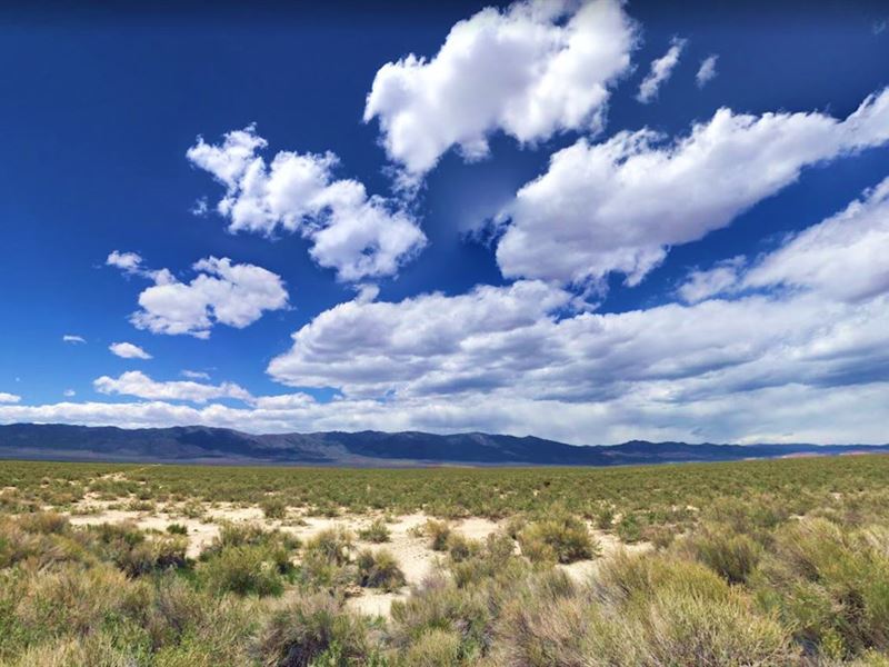 Explore 10.61 Acres in Elko County : Nevada : Elko County : Nevada