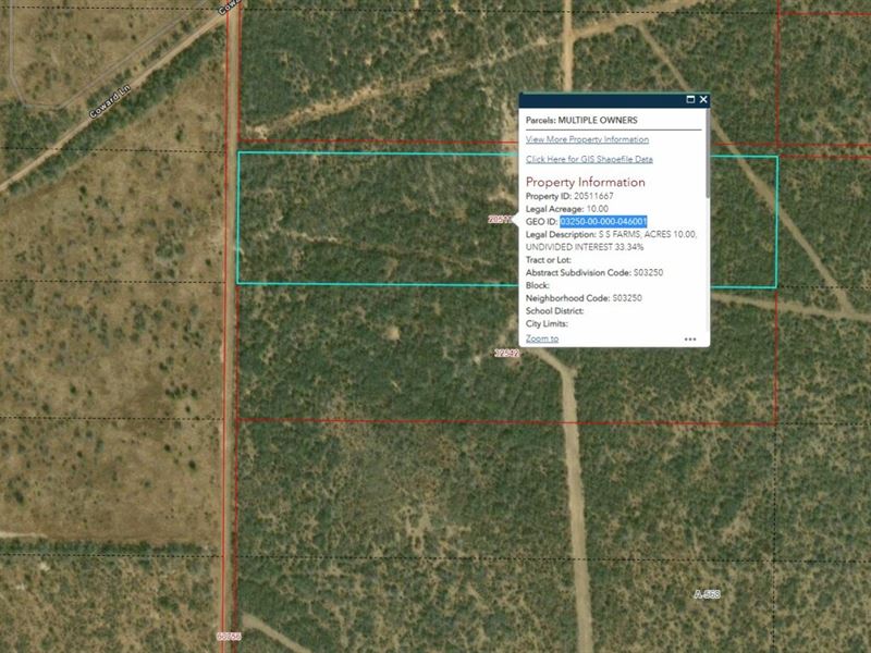 10 Acres for Sale in Pleasanton, TX, Farm for Sale by Owner in Texas