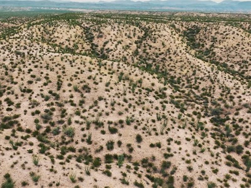 Own This Retreat in TX for $238/Mo : Hudspeth : Hudspeth County : Texas