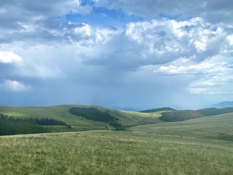 Centennial Homestead : Westcliffe : Custer County : Colorado