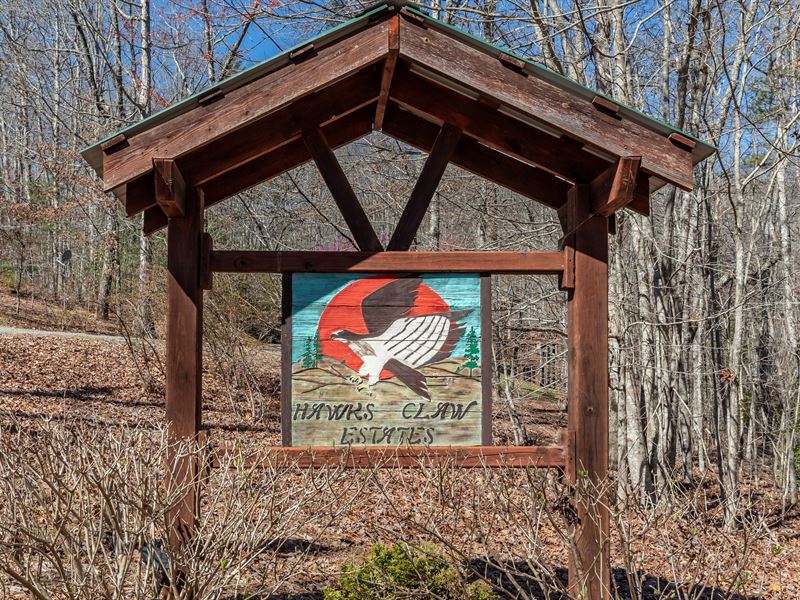 Unrestricted Land with Mtn Views : Morganton : Union County : Georgia
