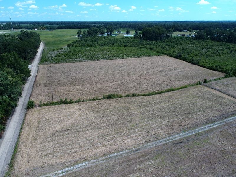 Farm with Home Site : Fairmont : Robeson County : North Carolina