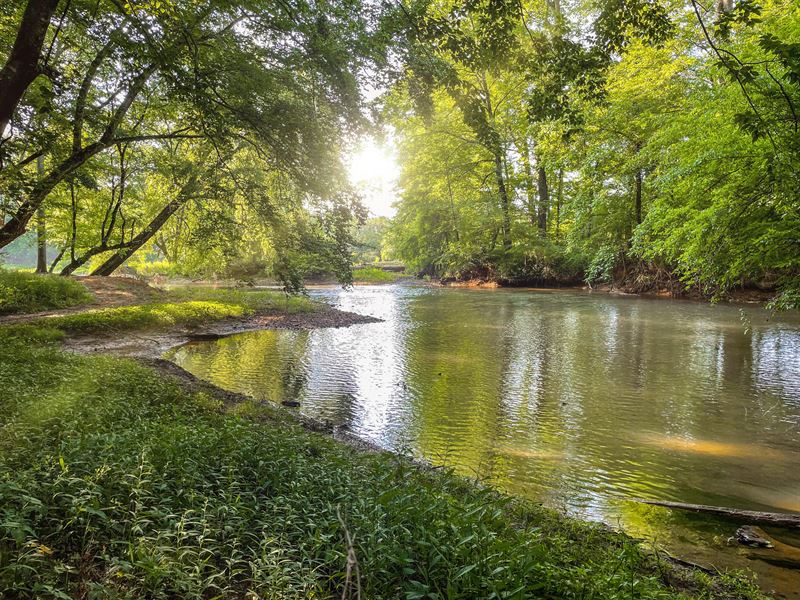 Limestone Creek Land Auction, Farm Auction in Alabama, 345385 FARMFLIP