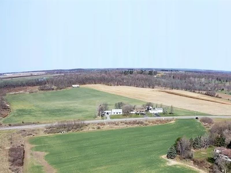 361K Sqft in Stafford, NY, Farm for Sale by Owner in New York, 345423