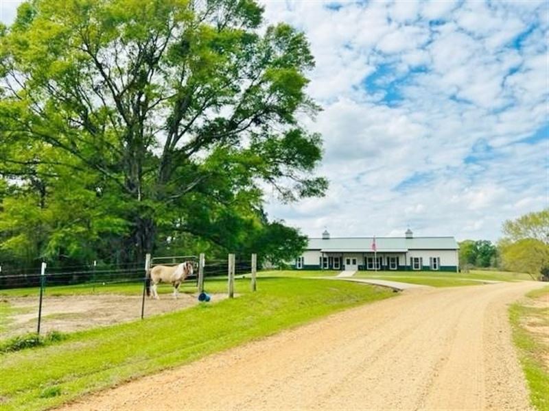 Horse Ranch On 36.7 Acres / North : McComb : Pike County : Mississippi