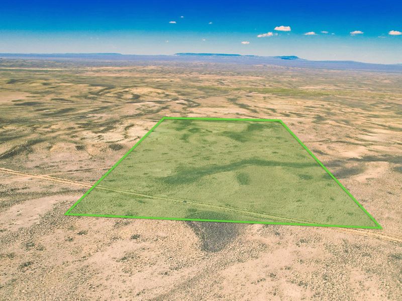 Road Access & Bordering Blm Land : Wamsutter : Sweetwater County : Wyoming