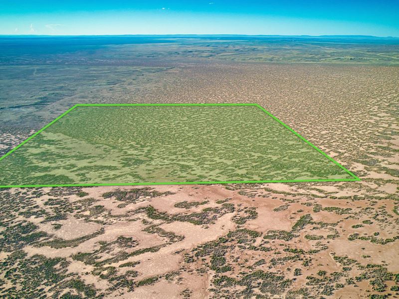160 Acres Bordering Blm Land, Farm for Sale by Owner in Wyoming