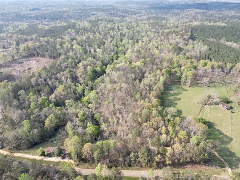 Jurrasic Tract : Tunnel Springs : Monroe County : Alabama