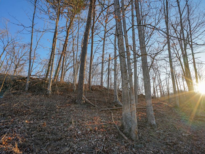 Five Mile Creek Rd 50 Acres : Proctorville : Lawrence County : Ohio