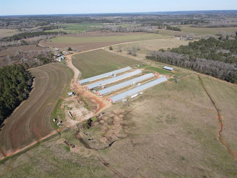 Reduced, Buck Creek Breeder Farm : Red Level : Covington County : Alabama