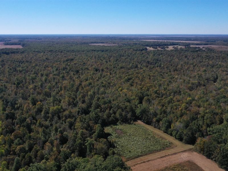 360 Acres High Fence Land for Sa : Mangham : Richland Parish : Louisiana