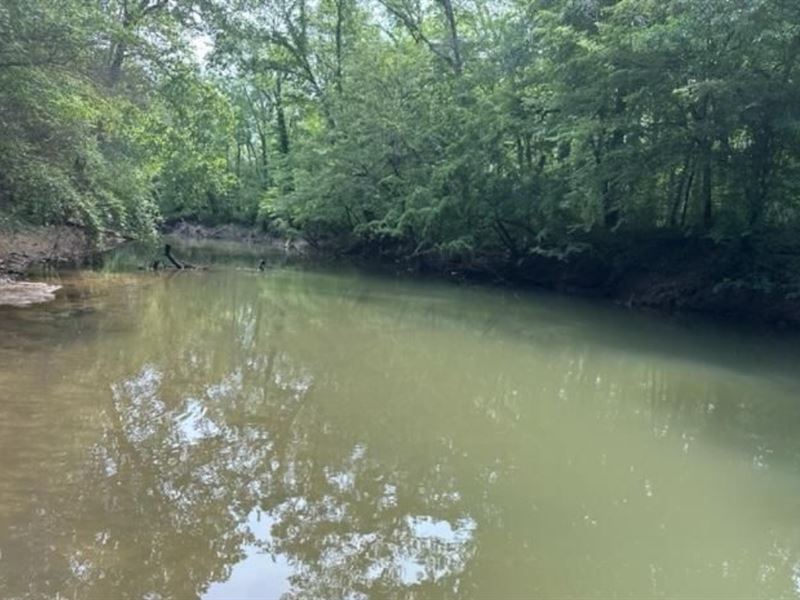 Just $46,800 Down, Wildlife Buffet : Ashville : Saint Clair County : Alabama