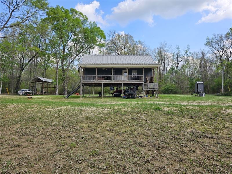 44 Acres with A Cabin in Pearl Rive : Poplarville : Pearl River County : Mississippi