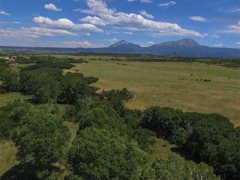 1 LA Veta Mesa, Laveta, Co 81055 : La Veta : Huerfano County : Colorado