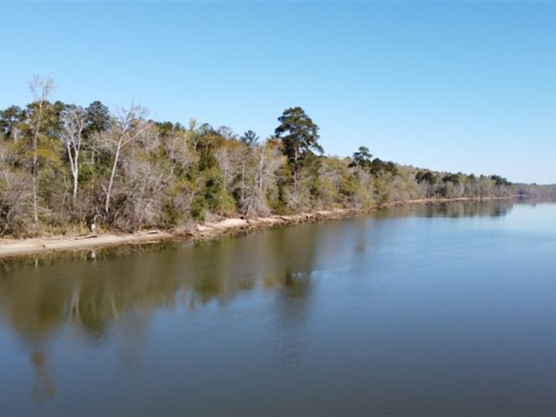 Large Wooded Tract on Lake Wateree : Great Falls : Fairfield County : South Carolina