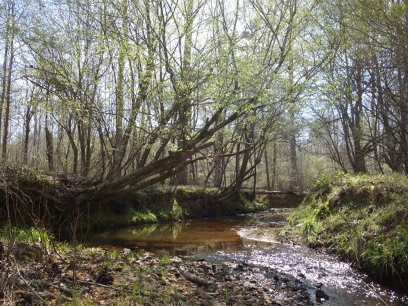 Pond, Bold Creek, Wooded Rec Tract : Lancaster : Lancaster County : South Carolina