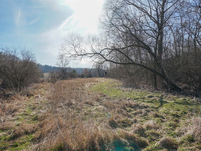 Penrose Rd 34 Acres : Quaker City : Guernsey County : Ohio