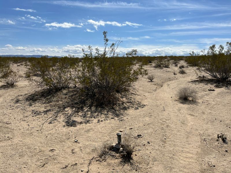 5 Acres in Twentynine Palms : Twentynine Palms : San Bernardino County : California