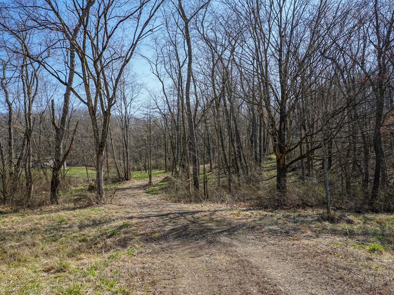 Twp Rd 411 : Warsaw : Coshocton County : Ohio