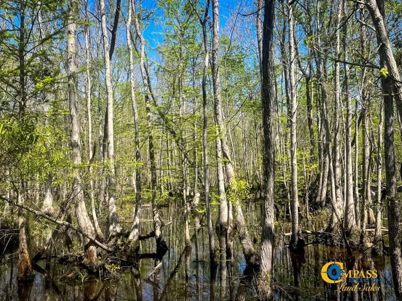 Franklin Tract : Colleton : Colleton County : South Carolina