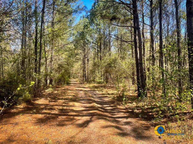 Jones Tract : Colleton : Colleton County : South Carolina