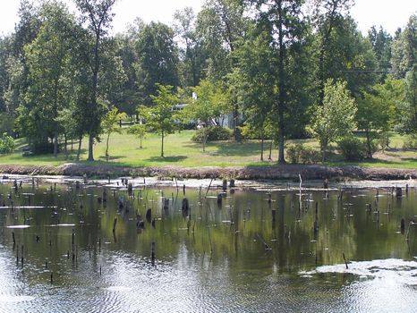 Ulmer - 50 Acres with Home and Pond : Ulmer : Allendale County : South Carolina