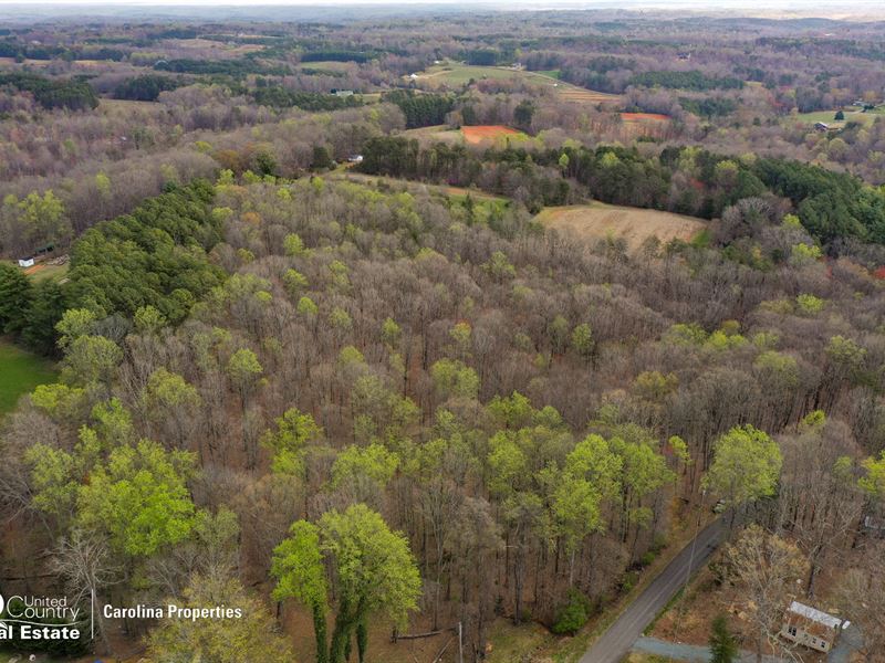 Timberland Sale in Stokes County, Farm for Sale in North Carolina