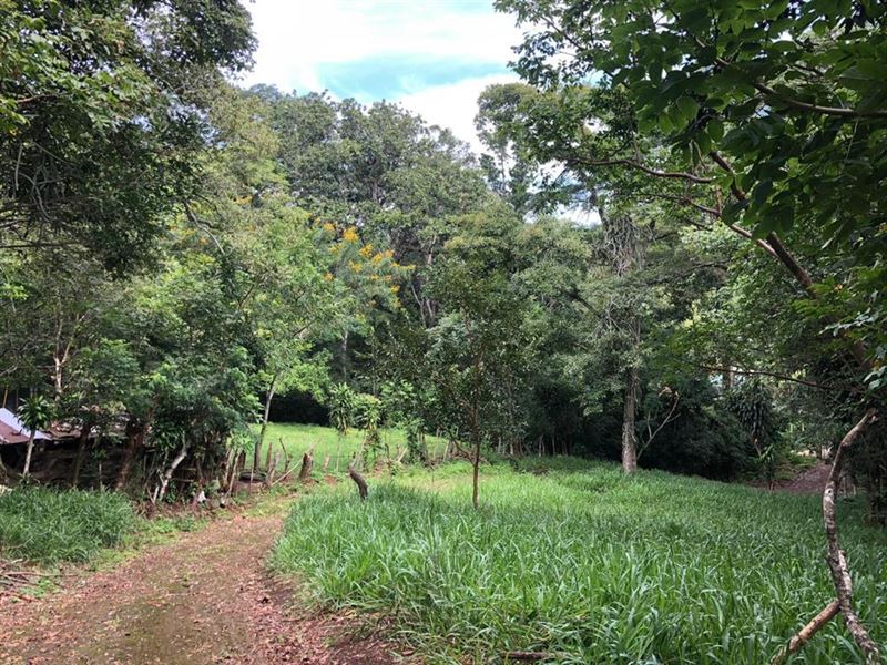 Beautiful Land in Atenas : Mercedes Atenas : Costa Rica