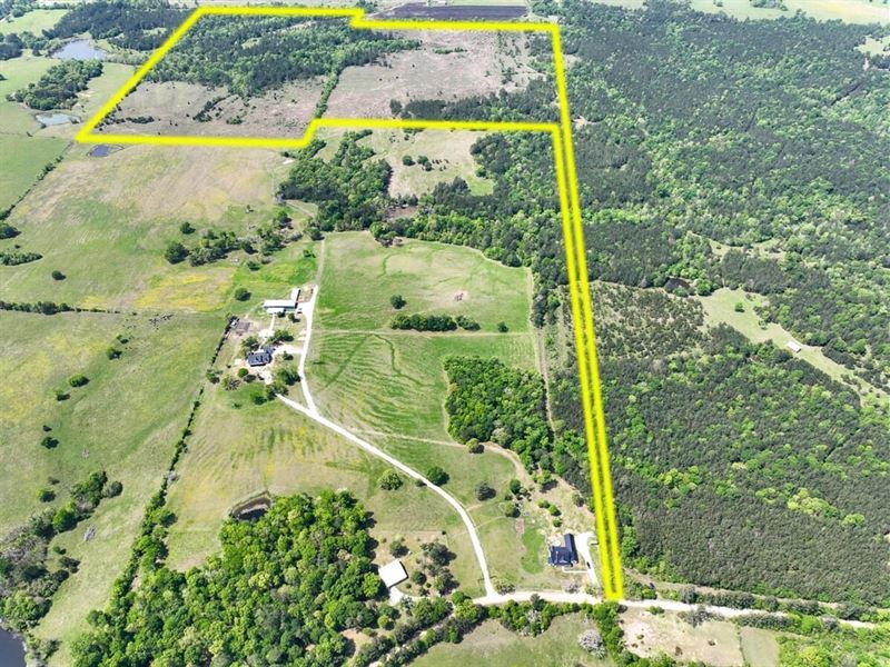 129 Acres, Walker Loop : Huntsville : Walker County : Texas