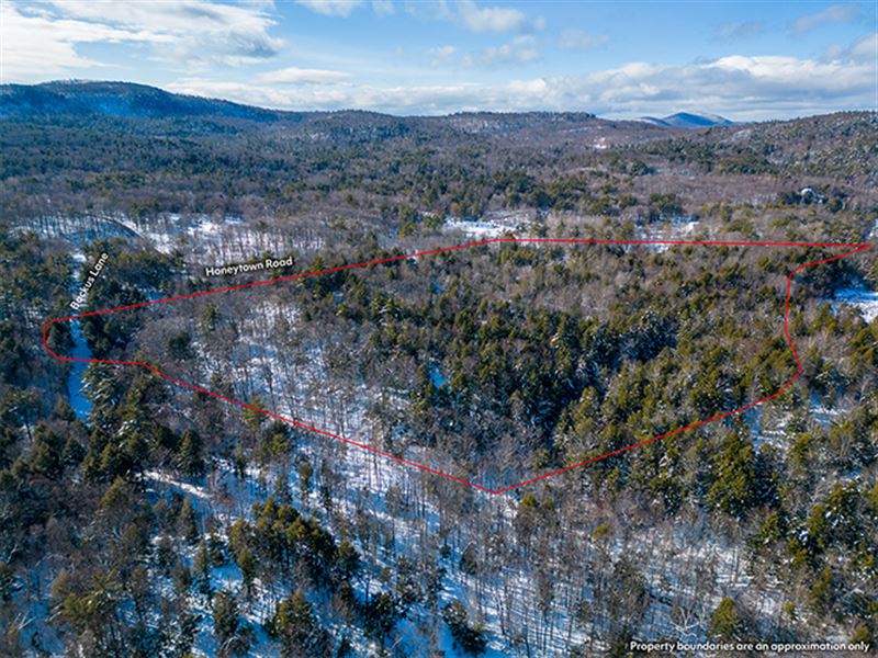 Dresden Hill Parcel, Farm for Sale in New York, 346214 FARMFLIP