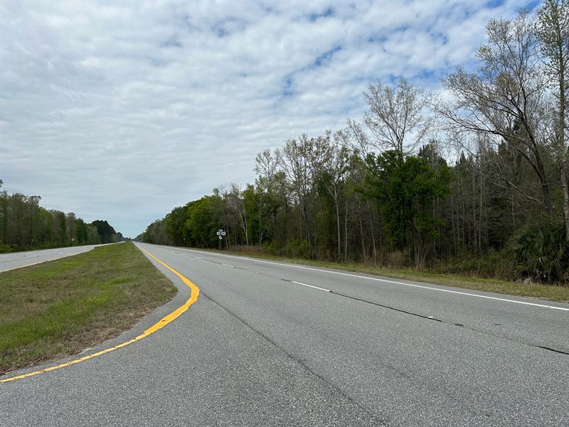 27 Acres, Hwy 341 Glynn County, GA : Brunswick : Glynn County : Georgia