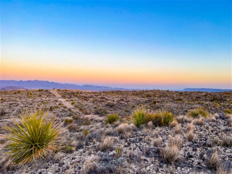 No Restrictions, 10 Ac in Texas : Terlingua : Brewster County : Texas