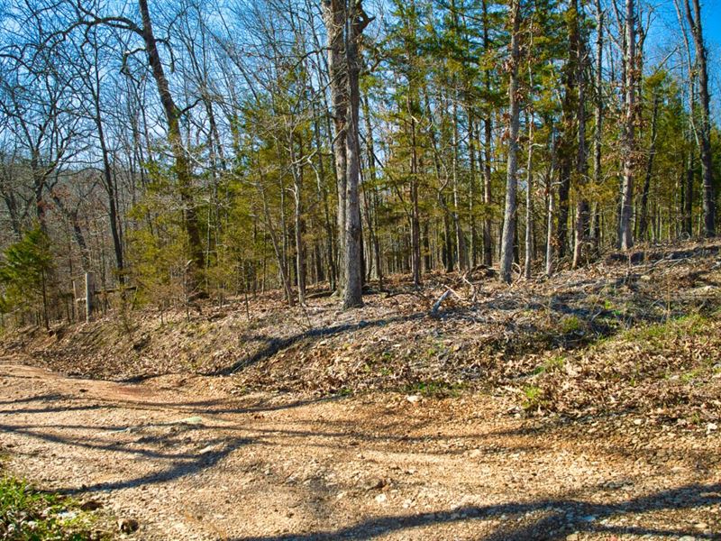 20 Acres, No Restriction : Leasburg : Crawford County : Missouri