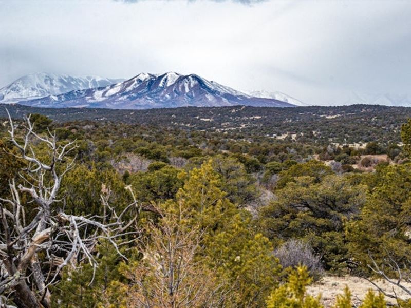 L127 Twin Lakes Ranches, Walsenburg : Walsenburg : Huerfano County : Colorado
