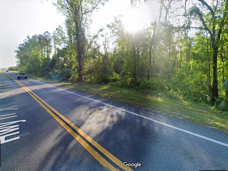 Rare Vacant Land in Satsuma, Farm for Sale by Owner in Florida, 346521