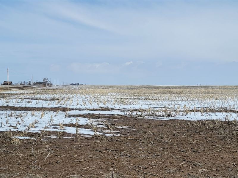 Fegler Trust Dryland Auction, Farm Auction in Nebraska, 346523 FARMFLIP