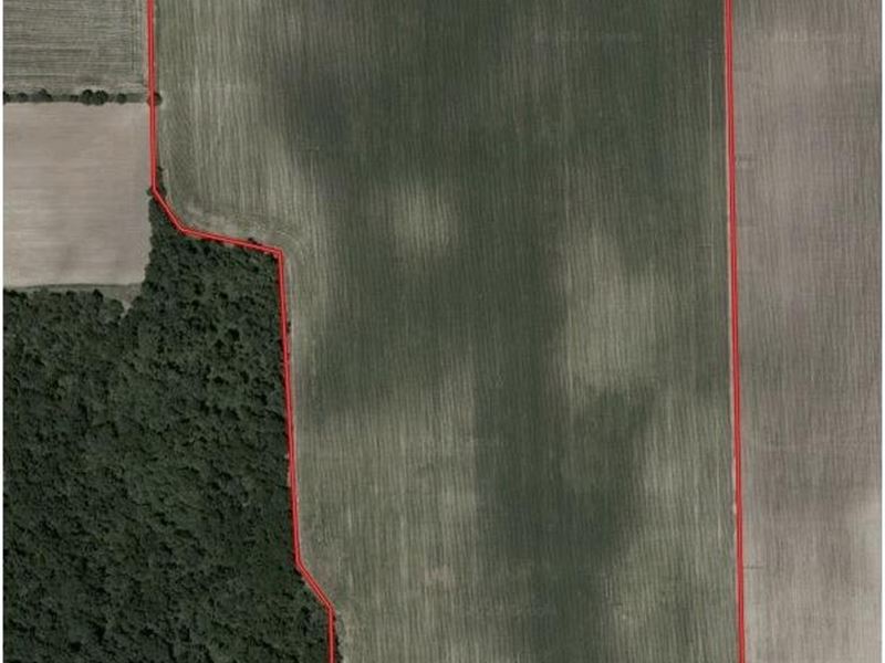 80 Acres in Chrisman, Illinois : Chrisman : Edgar County : Illinois