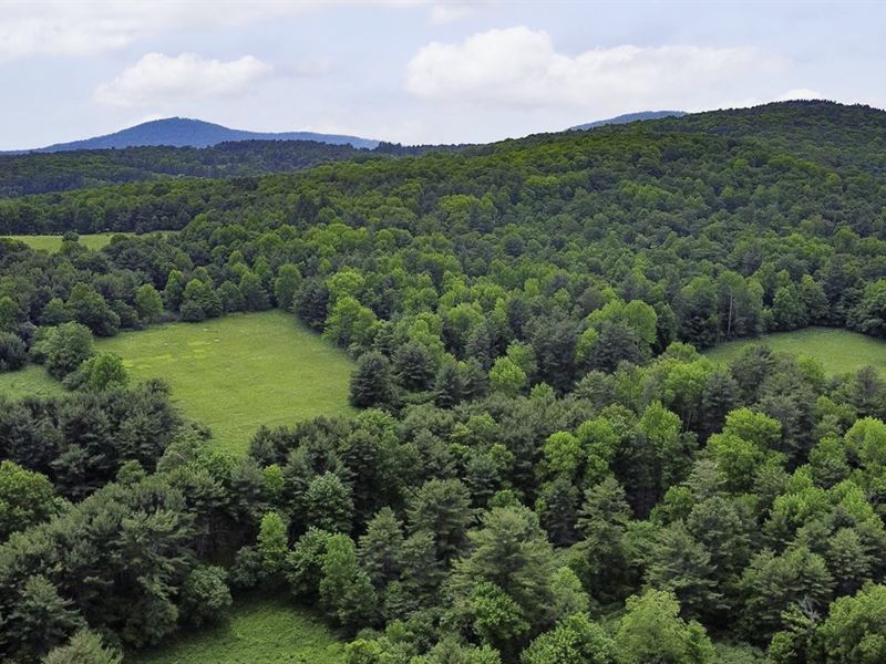 305K Sqft in Harpersfield, NY, Farm for Sale by Owner in New York