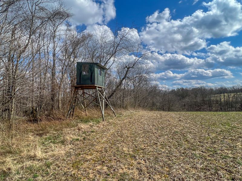 Morgan Rd 20.01 Acres : Zanesville : Muskingum County : Ohio
