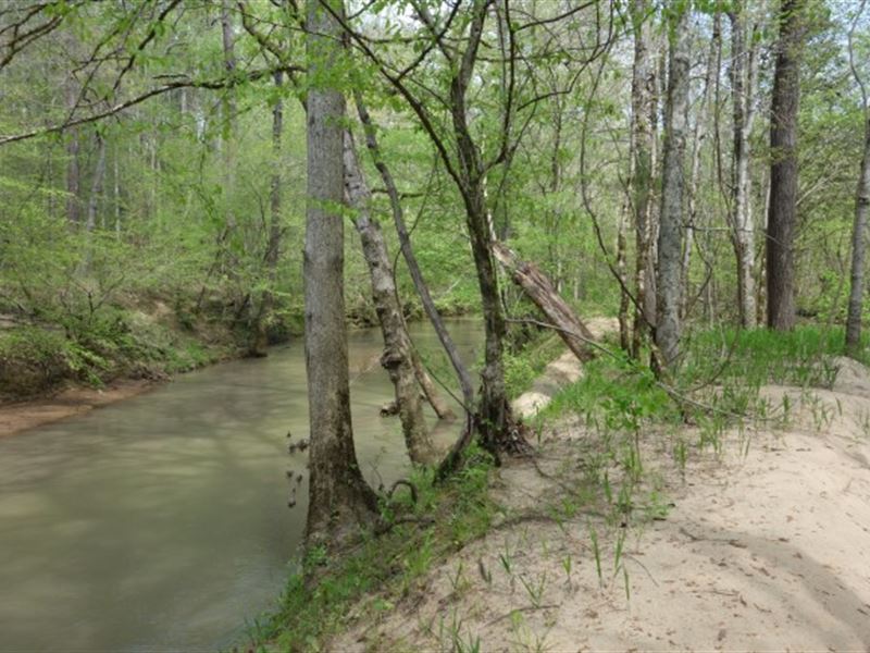 Bold Creek, Pines, Hardwood Bottoms : Blair : Fairfield County : South Carolina
