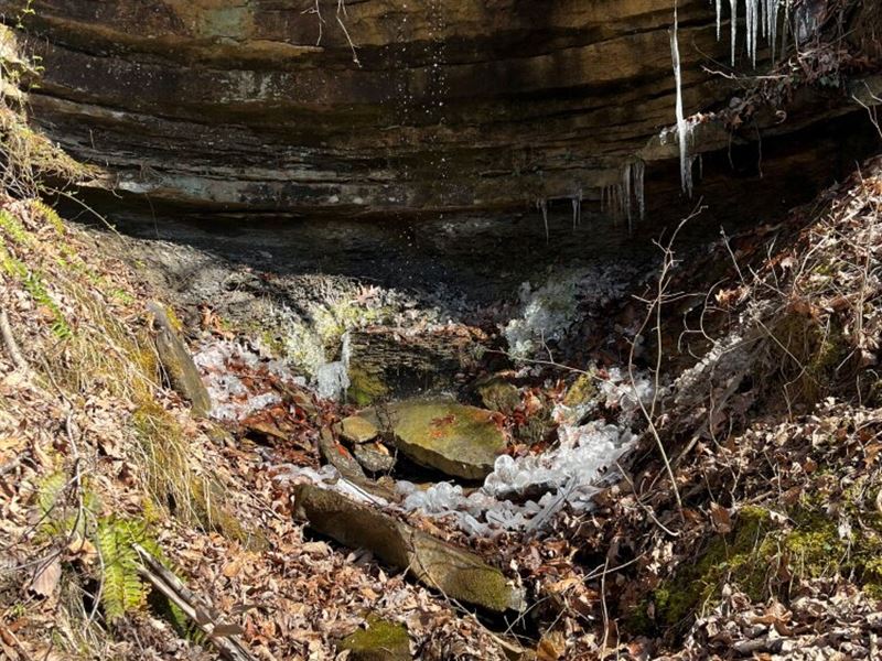 119 Acres Recreational & Timber : McKee : Jackson County : Kentucky